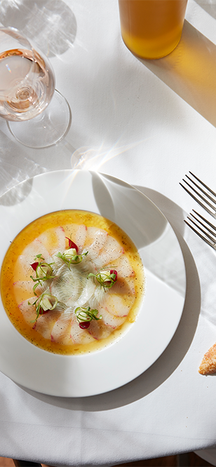 ABU DHABI HERRO BANNER