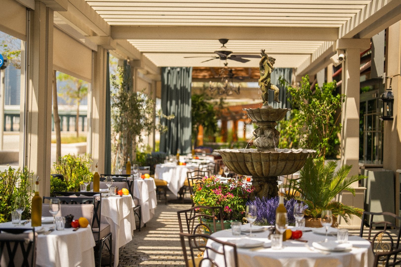 Terrace Abu Dhabi 2024